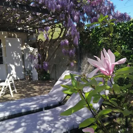 La Jariette לינה וארוחת בוקר Airvault