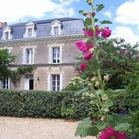 La Jariette לינה וארוחת בוקר Airvault