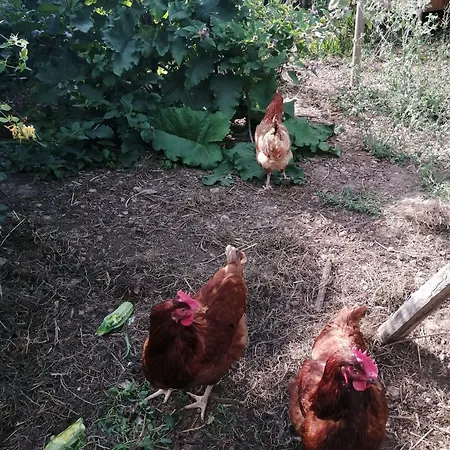 La Jariette 4*
