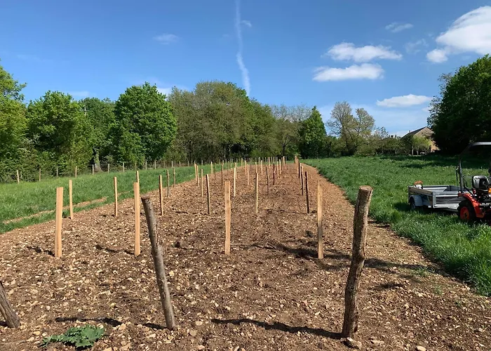 B&B La Jariette Airvault